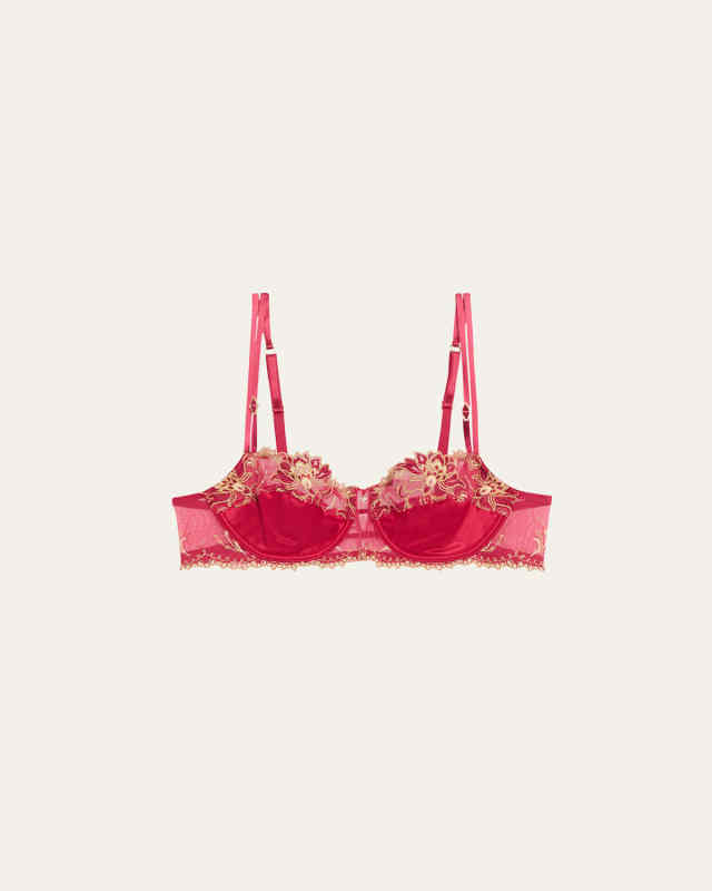 Embroidered Lace Demi Bra